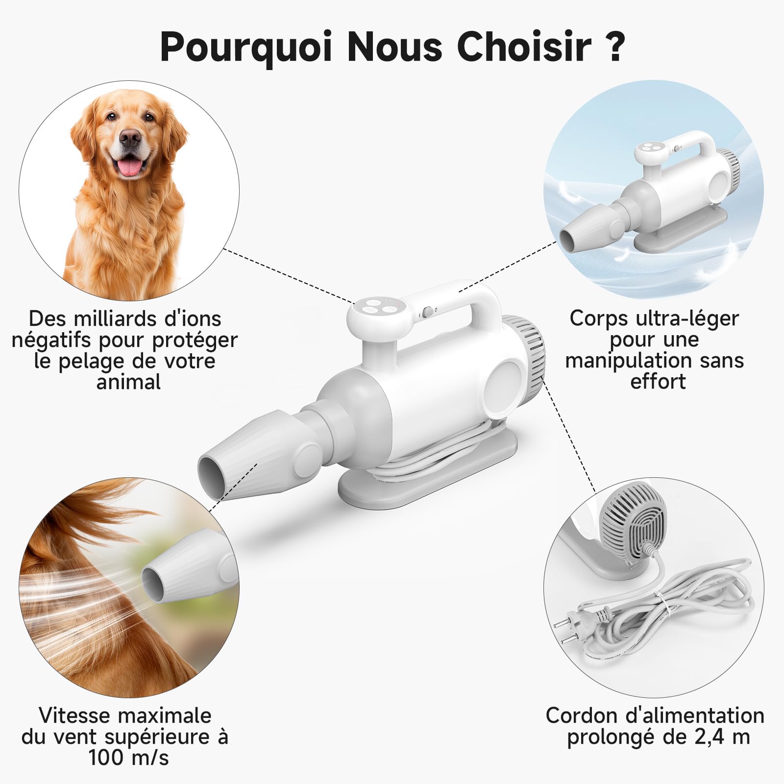 Séchoir chien 2200W, ions négatifs | 4 moteurs, 110 000 tr/min, 3 vitesses/4 températures, 3 buses, anti-surchauffe