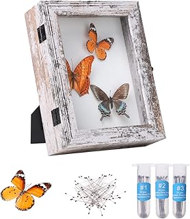 IHEIPYE Insect Display Case Wall Mount Bug Display Case with Anti Fade UV Protection Acrylic Top Eva Foam Pinning Board and 3 Size Pins Shadow Box for Bug Butterfly Insect Specimen Collection Display