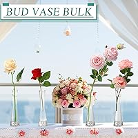 Vista 6 de Sliner 6 jarrones altos de cristal para centros de mesa, jarrón transparente de María Bud, pequeño jarrón de flores individuales, jarrones