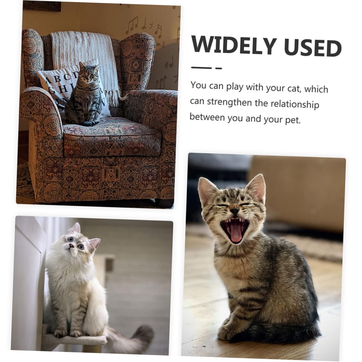 Mipcase 4pièces Jouet De Balle Interactif pour Chat avec Clochettes Balles pour Chats Intérieur Jouets pour Chatons