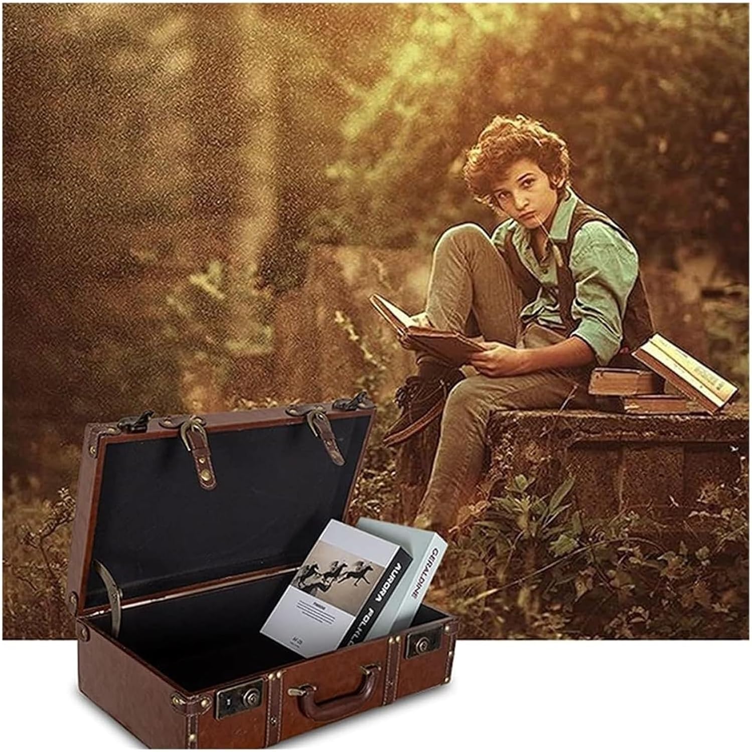 Vintage Wooden Storage Chest, Vintage Suitcase, Vintage Suitcase, Decorative Storage Trunks, Vintage Leather Suitcase for Home Decoration Window Decoration(Brown,54x34x20cm)