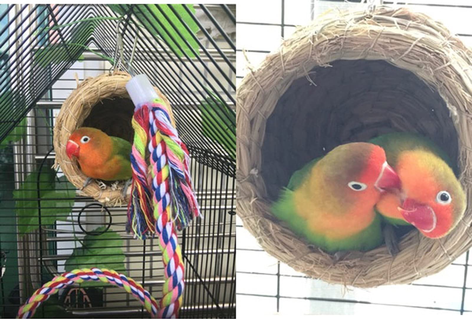 Nido de pájaro de Fibra Natural, un Lugar de cría y Descanso de pájaros puramente Hecho a Mano, Adecuado para Jaula de pájaros de peonía de Piel de Tigre Loro (tamaño: 5.9 x 6.7 in)