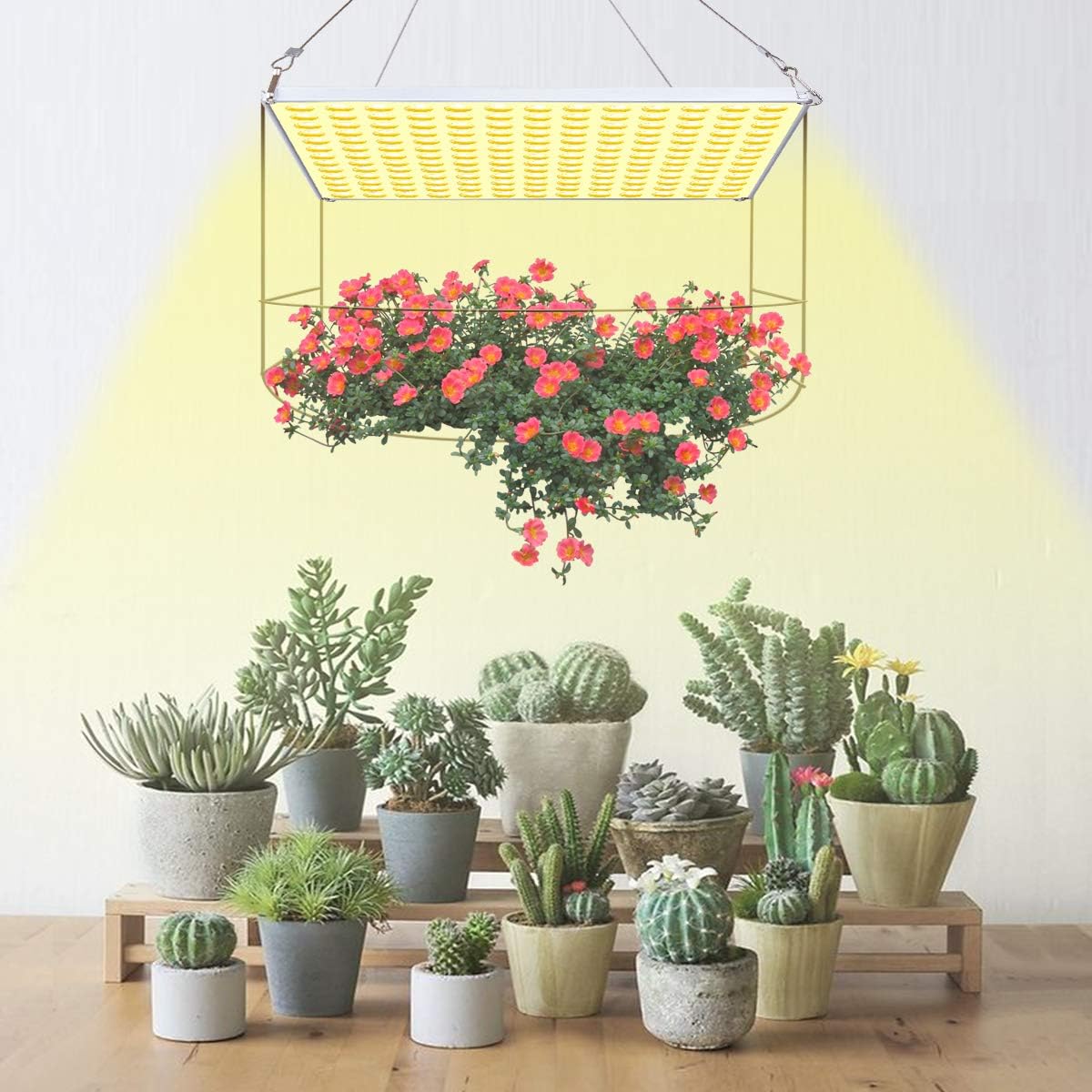 LED Grow Light, Roleadro 75W Grow Light for Indoor Plants Full Spectrum Plant Light for Seedling, Hydroponic, Greenhouse, Succulents, Flower : Patio, Lawn & Garden