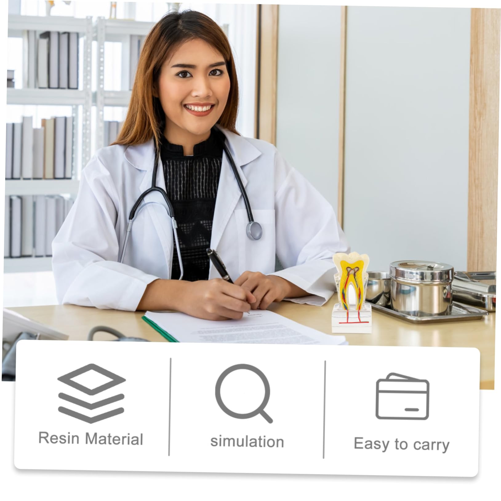 PRETYZOOM 6volte Modello Di Denti Dentali Modello Di Studio Per Per Lezioni Di Odontoiatria Dimostrazione Di Impianto e Protesi Fissa