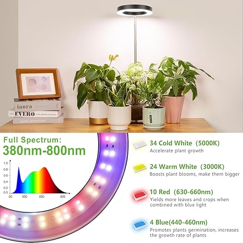 Miniatura 6 de LORDEM Luz de crecimiento, luz LED para plantas de interior, lámpara de crecimiento de escritorio de espectro completo con temporizador automático