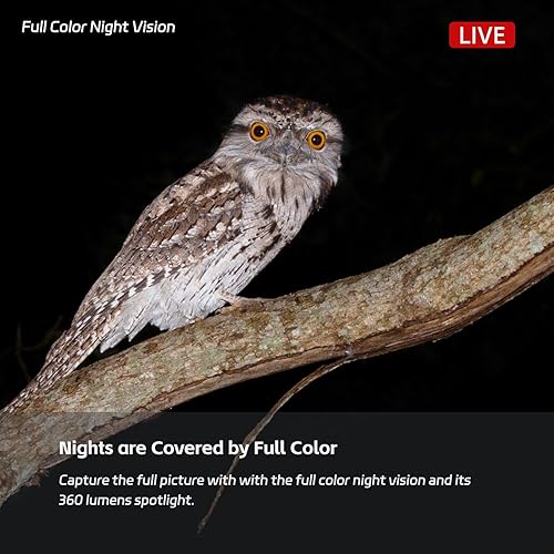 Miniatura 2 de RELI Cámara de seguridad inalámbrica para exteriores con batería de 5 meses, cámaras profesionales para pájaros, visión nocturna a color de 1080P,