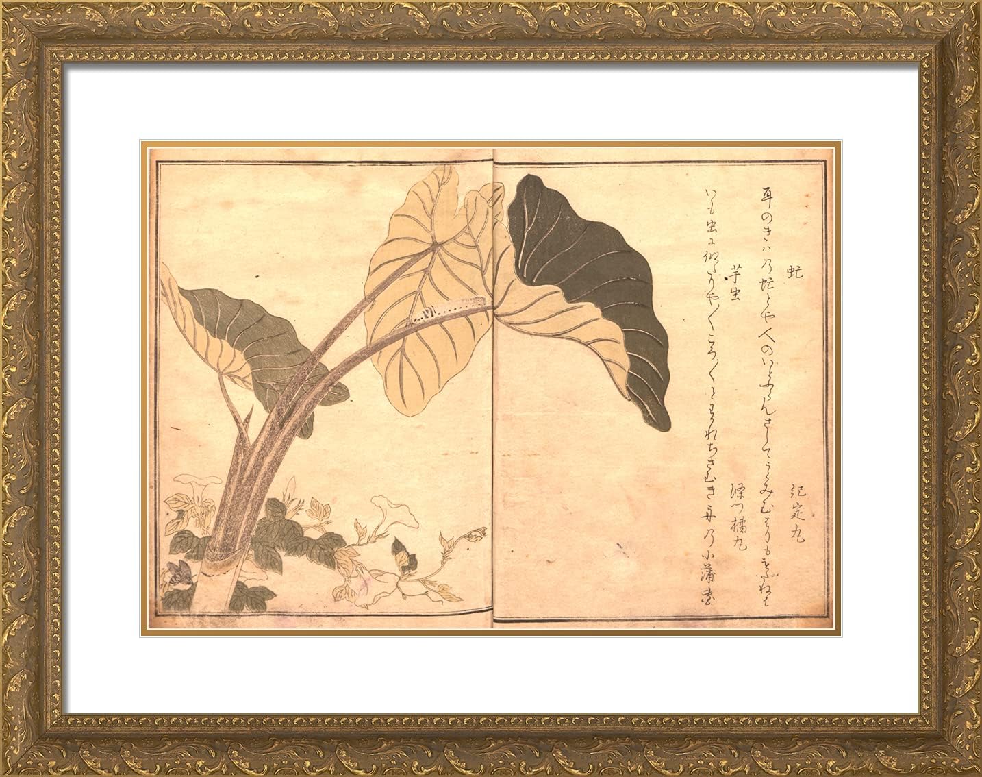 ArtDirect Utamaro, Kitagawa 24x19 Gold Ornate Framed Art Print with Double Matting Titled: Insect Book II