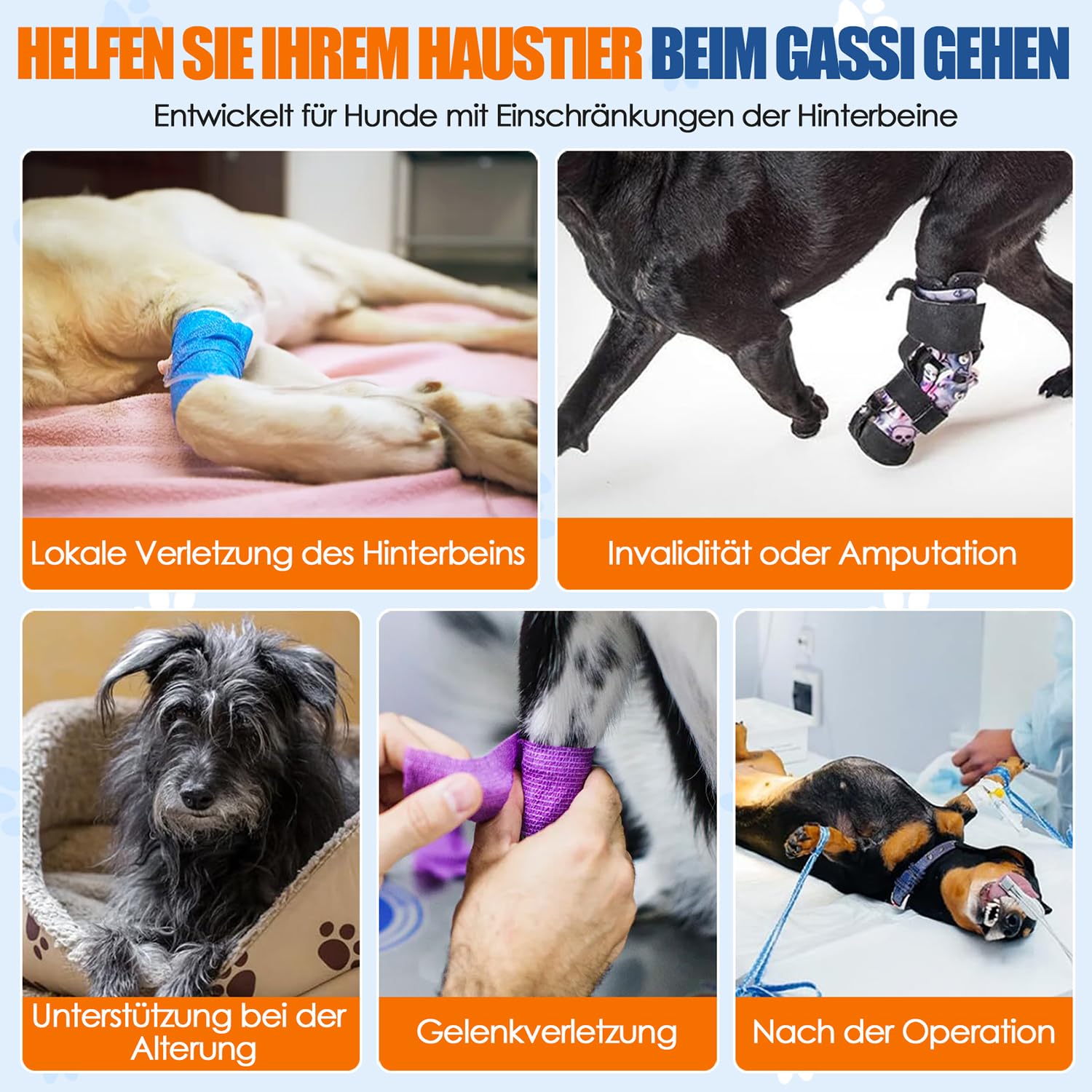 Eyein Tragehilfe für mittelgroße große Hunde, Tragetasche Hund mit verstellbarem Hinterbein-Stützgurt für ältere, verletzte oder behinderte Hunde bei schwachen Hinterbeinen nach Kreuzband-OP, L