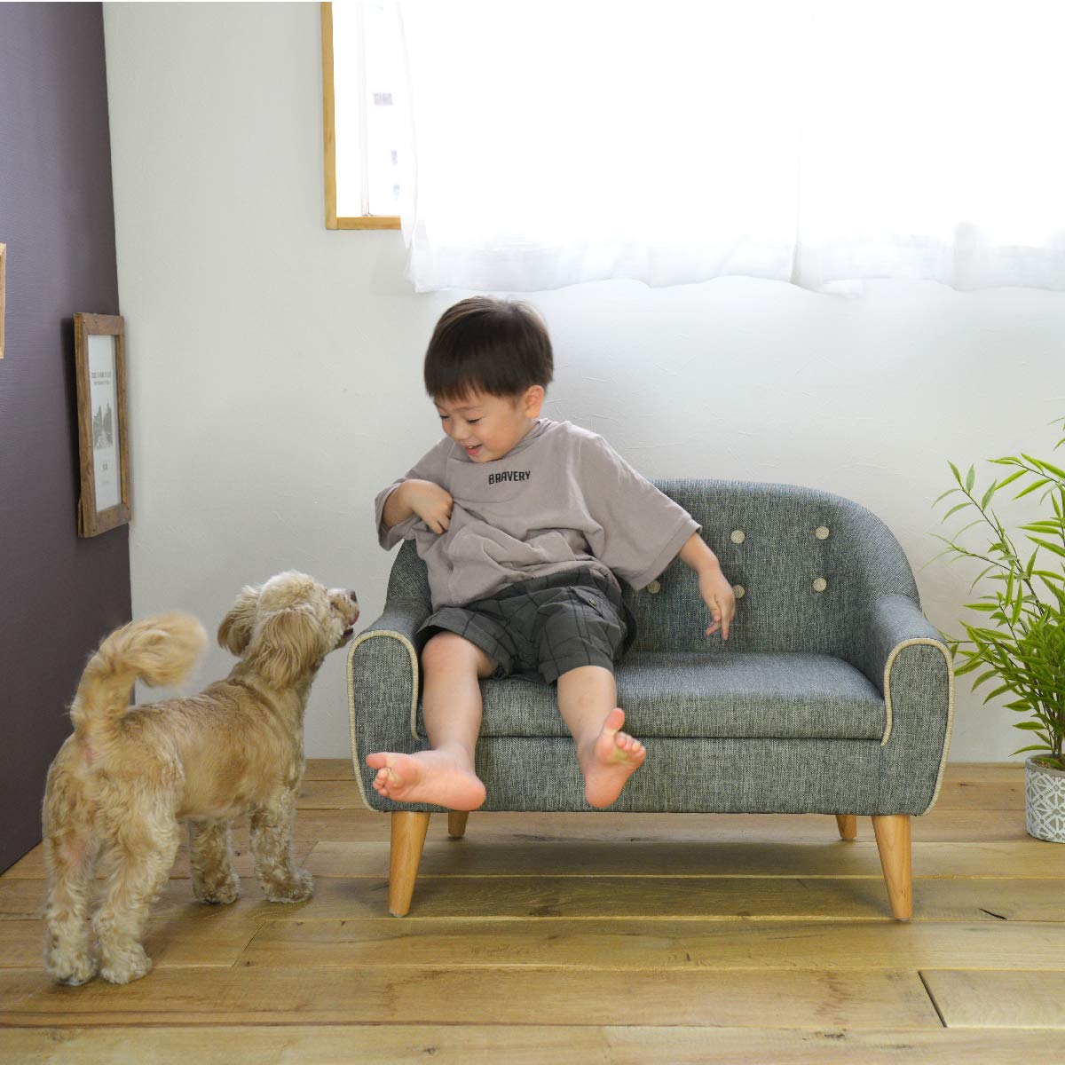 関家具　リリ　RLII SF-390-M-GY ペットソファ グレー Amazon.co.jp: 関家具 ペット用ソファ RILI (リリ) グレー 330998