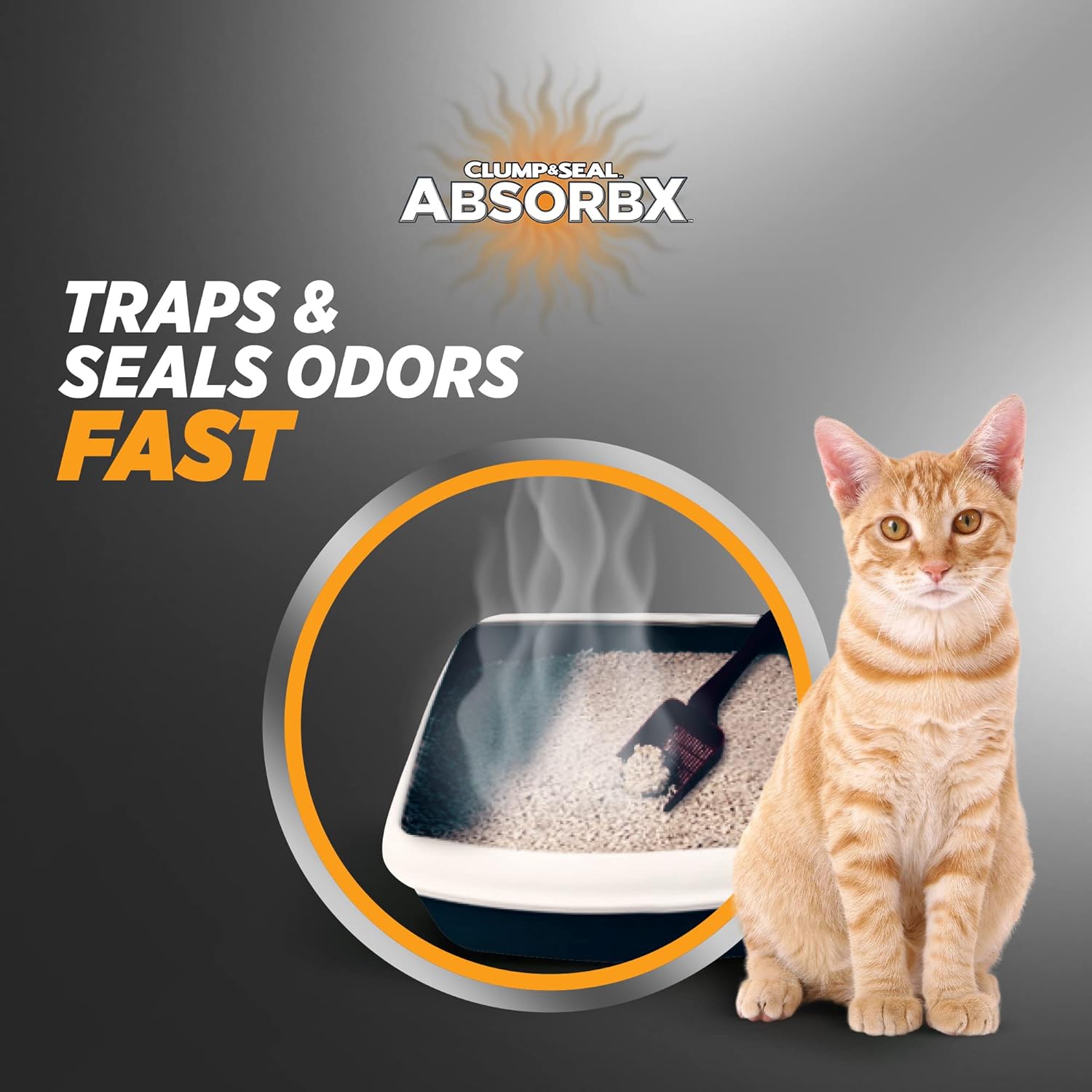 ARM & HAMMER Clump & Seal AbsorbX Platinum Lightweight Quick Absorbing