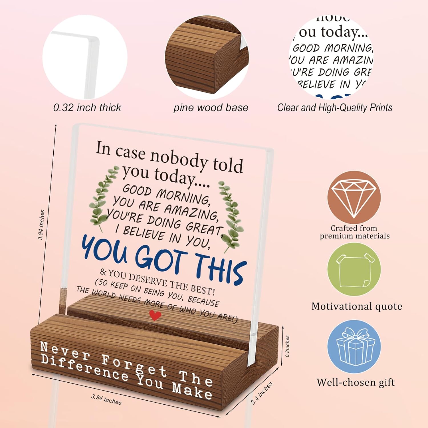 You Got This Motivational Desk Sign, Encouragement Gift for Coworker Friend Teacher Nurse, Inspirational Office Table Decor for Women Men, Uplifting Quote Plaque for Appreciation Birthday EC326 - Image 7