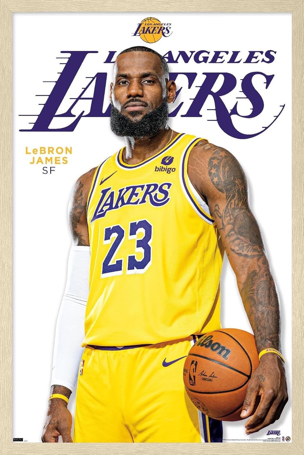 NBA Los Angeles Lakers - LeBron James Feature Series 23 Wall Poster, 34L" x 22.4W", Silver Framed Version