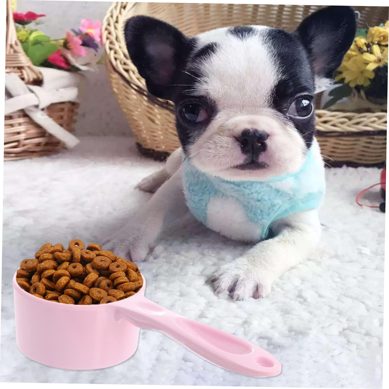 Amazon | CONGARTENO 猫犬用計量スプーンセット 50gサイズ ハンドル長 