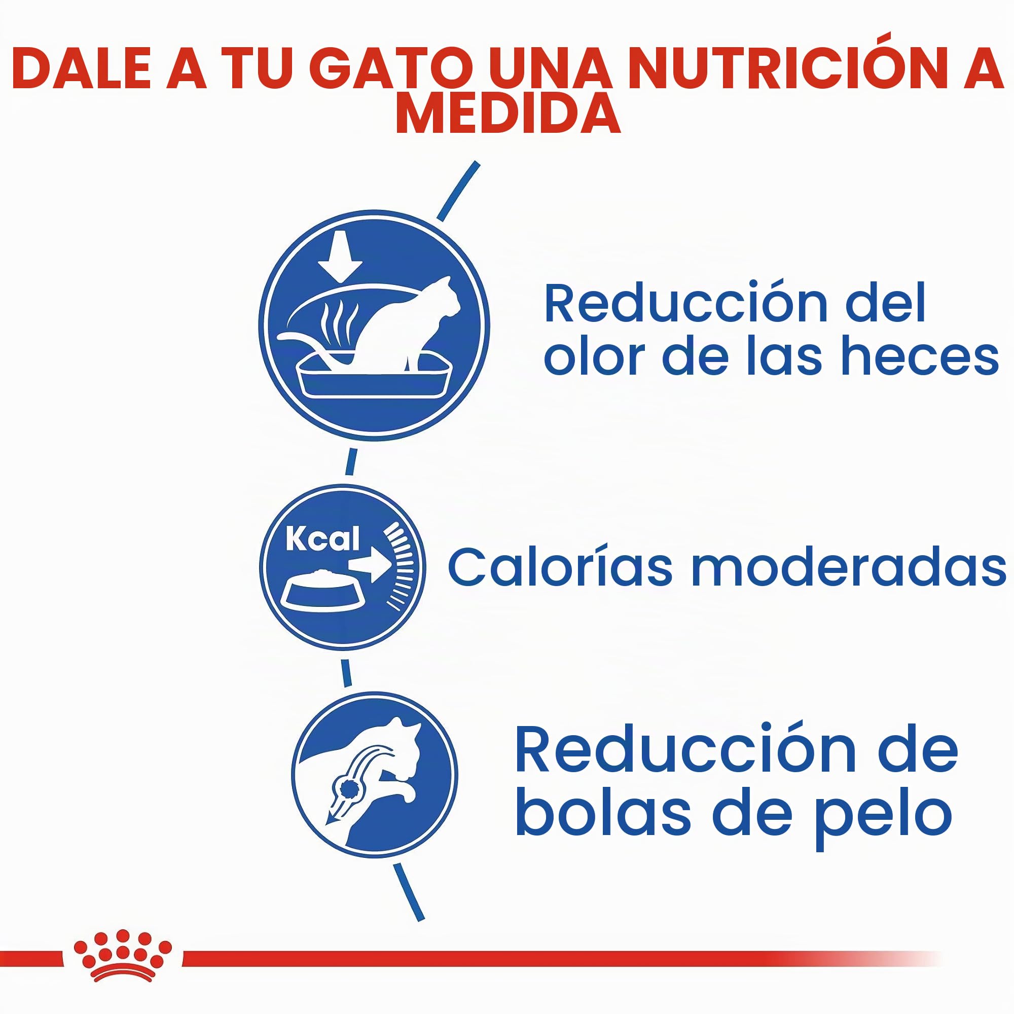 Royal Canin C-58506 Indoor - 10 Kg