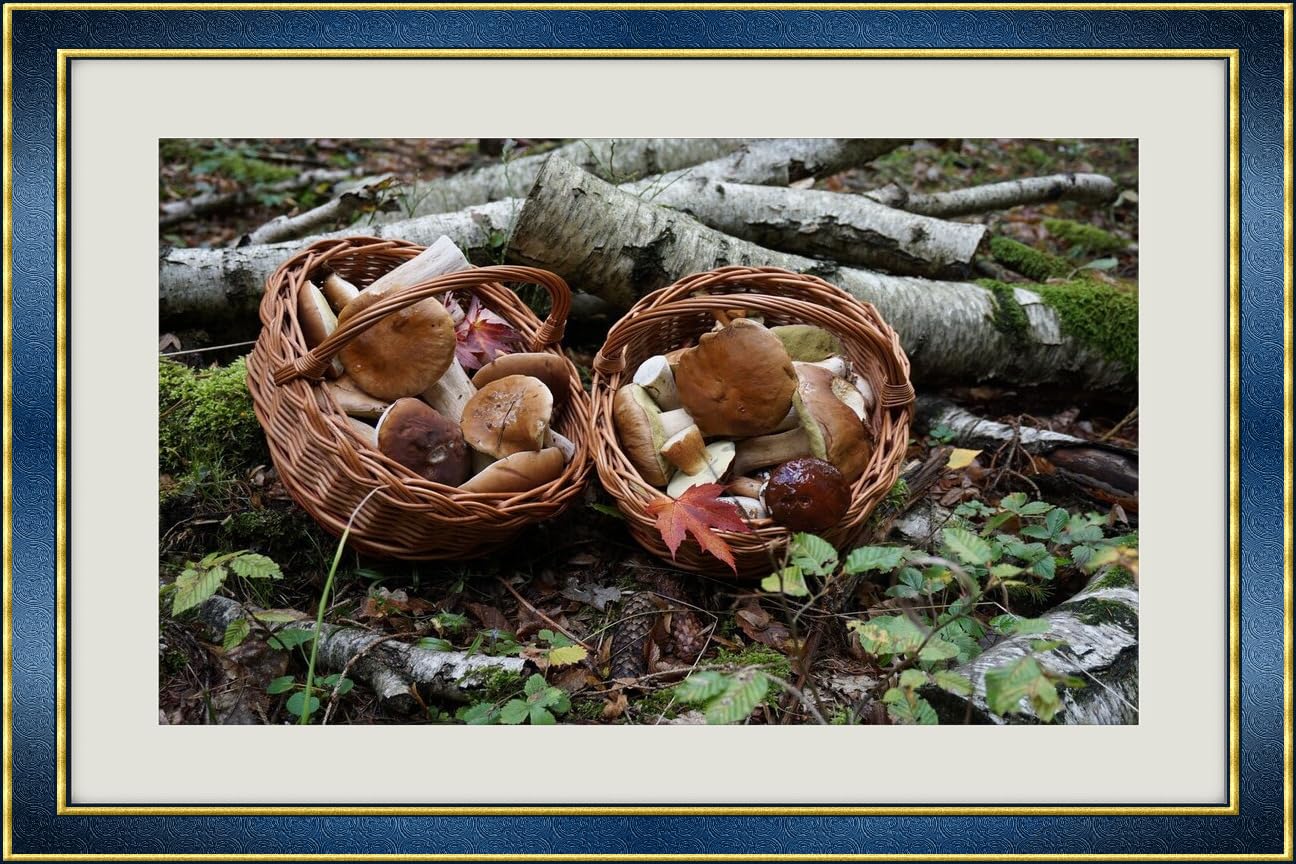 JVERF - JZZH24861 Mushrooms Nature Penny bun Wicker Basket| Self