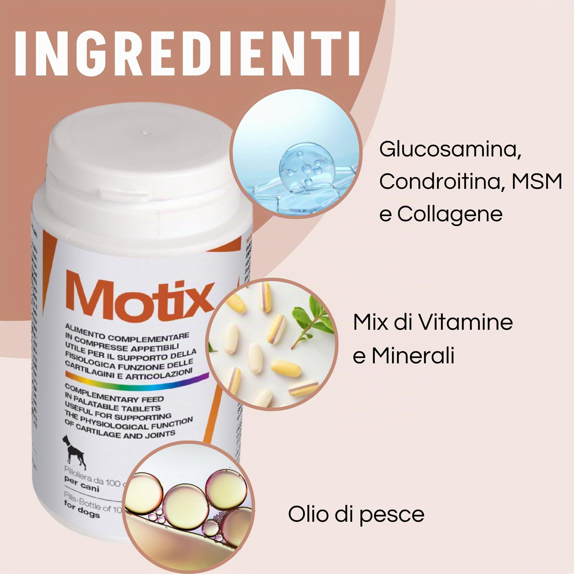 Motix Integratore Articolazioni Cane - Glucosamina, Condroitina e MSM - 100 Compresse 1000 mg - Adatto a Cani di Tutte le Taglie e Razze - Supporto per la Mobilità