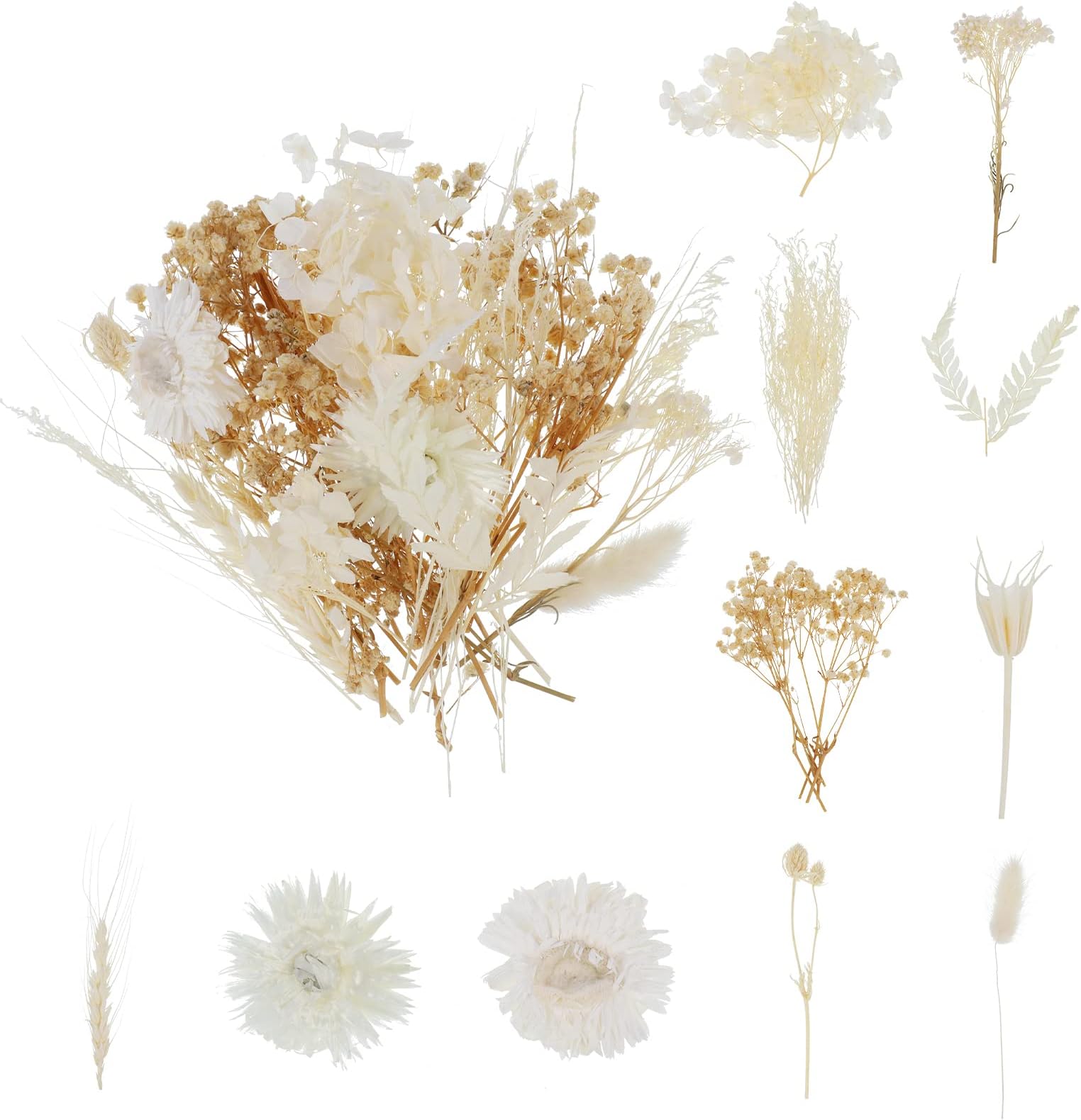100 Fleurs Séchées Blanches Gypsophile Naturelles - Pour Bricolage Et Décoration