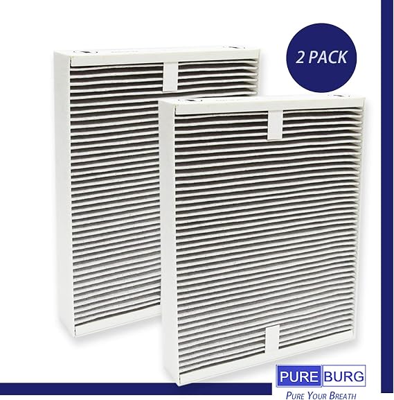 PUREBURG Replacement Filters Compatible with Stadler Form Roger & Roger Big Air Purifier R-113 (37 x 36 x4),2-Pack HEPA + Activated Carbon 2-IN-1