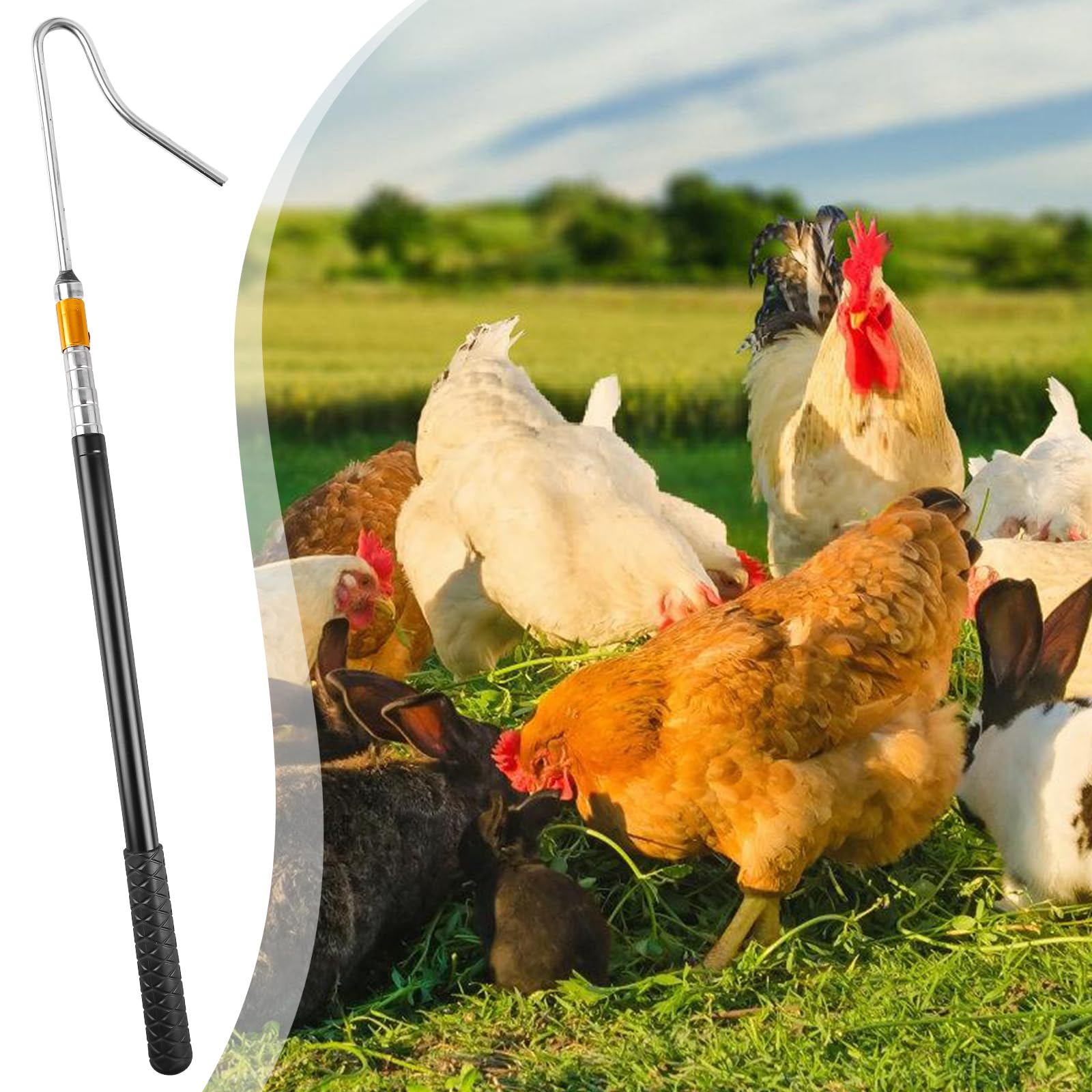 Filet Poule Attrape-poulet Télescopique 2 En 1 Avec Filet Et Crochet - Pour Volailles De Toutes Tailles Outil élevage Volaille