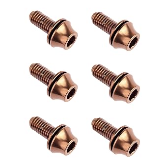 Titanium Hex Bolts with Washers 6PCS (Bronze)
