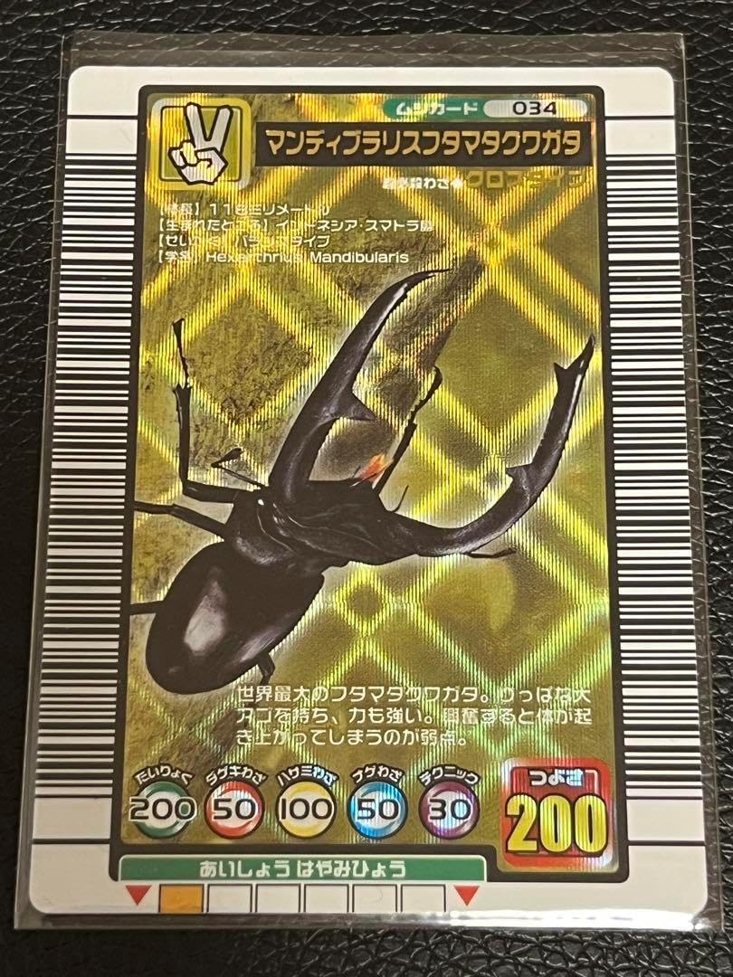 甲虫王者ムシキング　2004セカンドパネル 甲虫王者ムシキング 2004セカンドパネル SEGA - 甲虫王者ムシキング