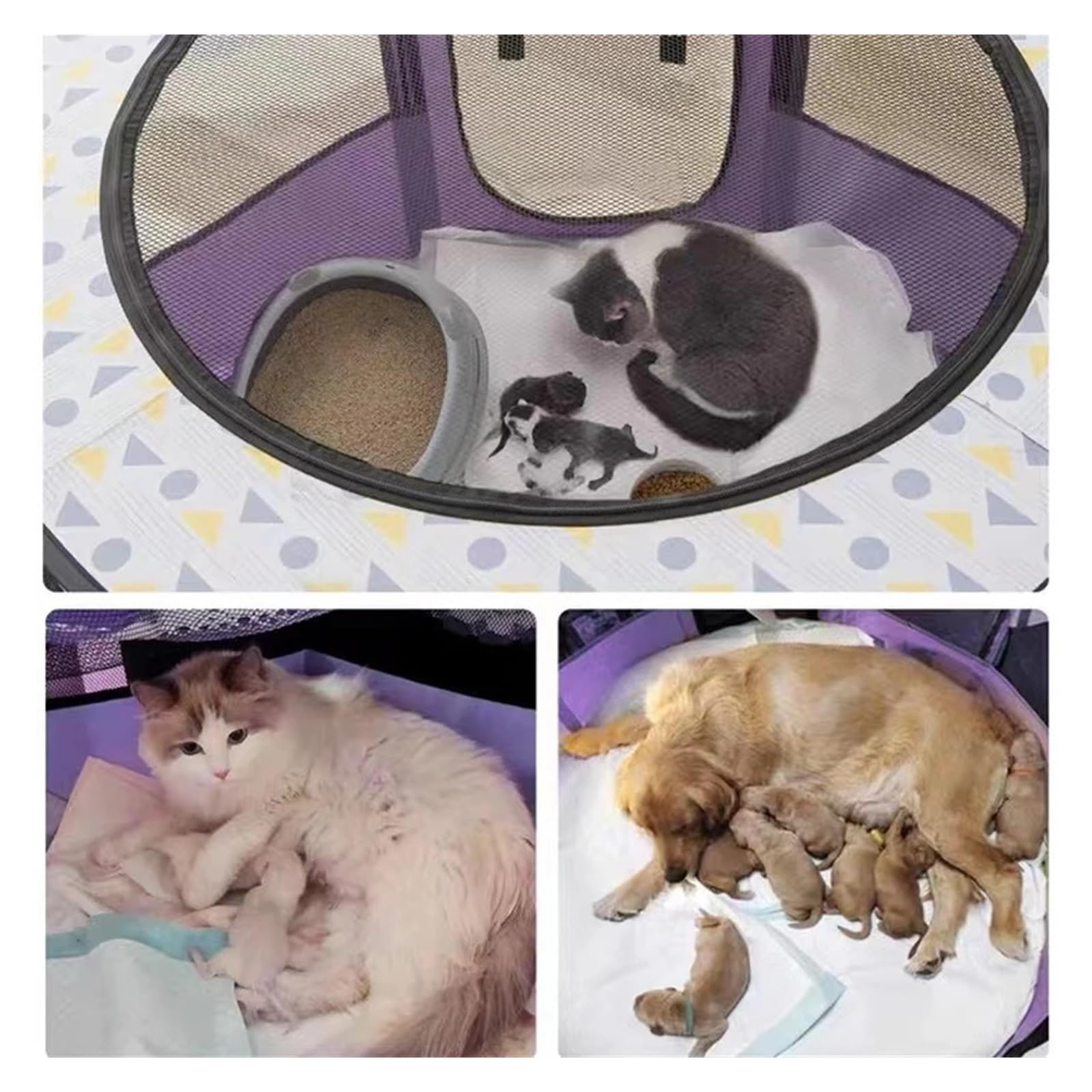Tentpour animaux de compagnie Tente for chat et chien, salle d'accouchement, cage octogonale pliable et portable for animaux de compagnie, niche d'extérieur for chien, parc d'intérieur for chiots et c