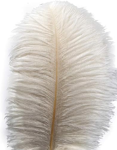 Lampu 10pcs plumas de avestruz 12-14 pulgadas (11.8-13.8 in) Plume Home Wedding Decor (blanco)