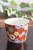 色絵角皿+猪口　5客 色絵角皿+猪口 5客 色絵角皿+猪口 5客 Amazon |