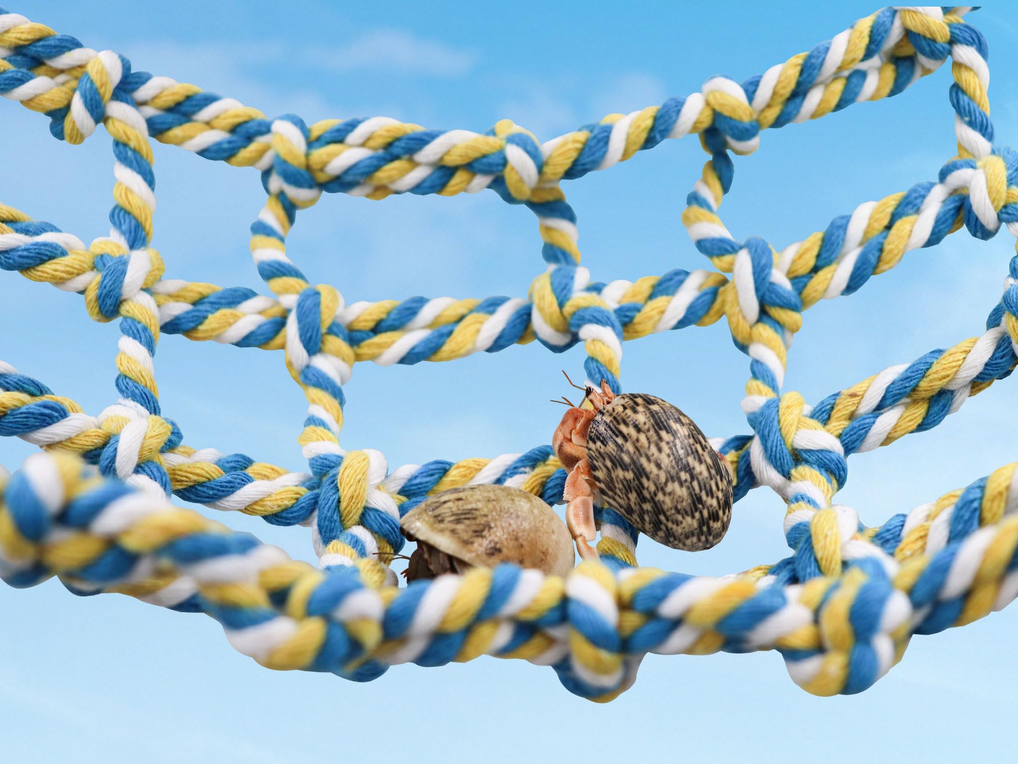 Buntes Vogel-Seilnetz, Haustier-Hängematte, Leiterbrücke, Kleintierspielzeug, Käfig-Dekor-Zubehör für Ratten, Hamster, Vögel, Frettchen