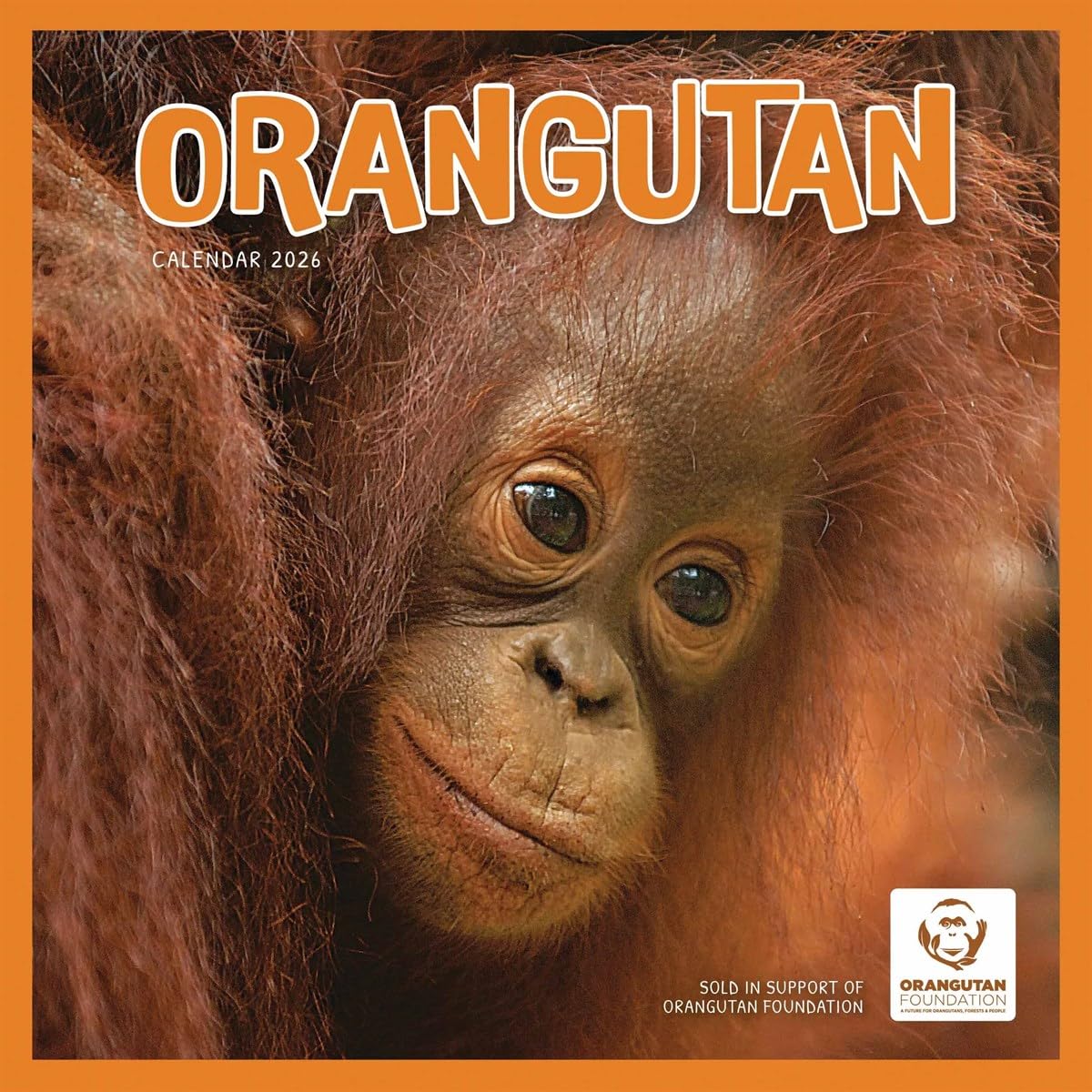 Orangutan - Orang-Utan 2026 - Wand-Kalender: Original Carousel-Kalender [Mehrsprachig] [Kalender]