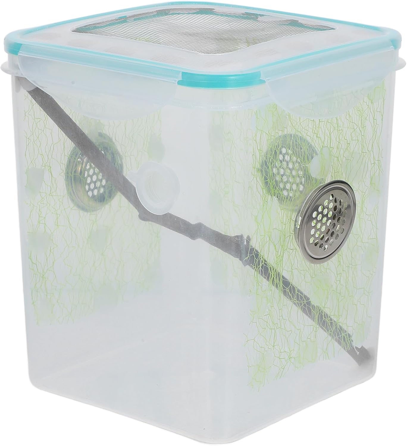 Mantis Feeding Box with Vent Holes, Sturdy Design