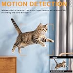 Hidden Camera Picture Frame 1080P HD Mini Spy Cam with Motion Detection Small Nanny Cam Video Recorder for Pet, Home Surveillance, Indoor Security Camera, No WiFi Function