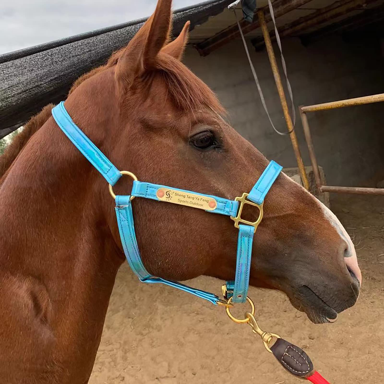 Soft and Comfortable Adjustable Horse Bridle Reins Head, Made From Premium Leather, Available In Multiple Color & Sizes,Soft To The Touch, Anti-wrinkle and Abrasion Resistance, Easy To Clean