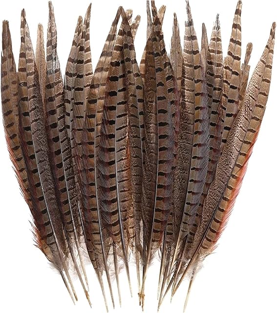 30 Pcs Natural Pheasant Feathers,DIY Pheasant Tails Feather,15-28 cm Soft Native Plume for Hair Hats Crafts Party Decoration Cosply Props,Natural Color
