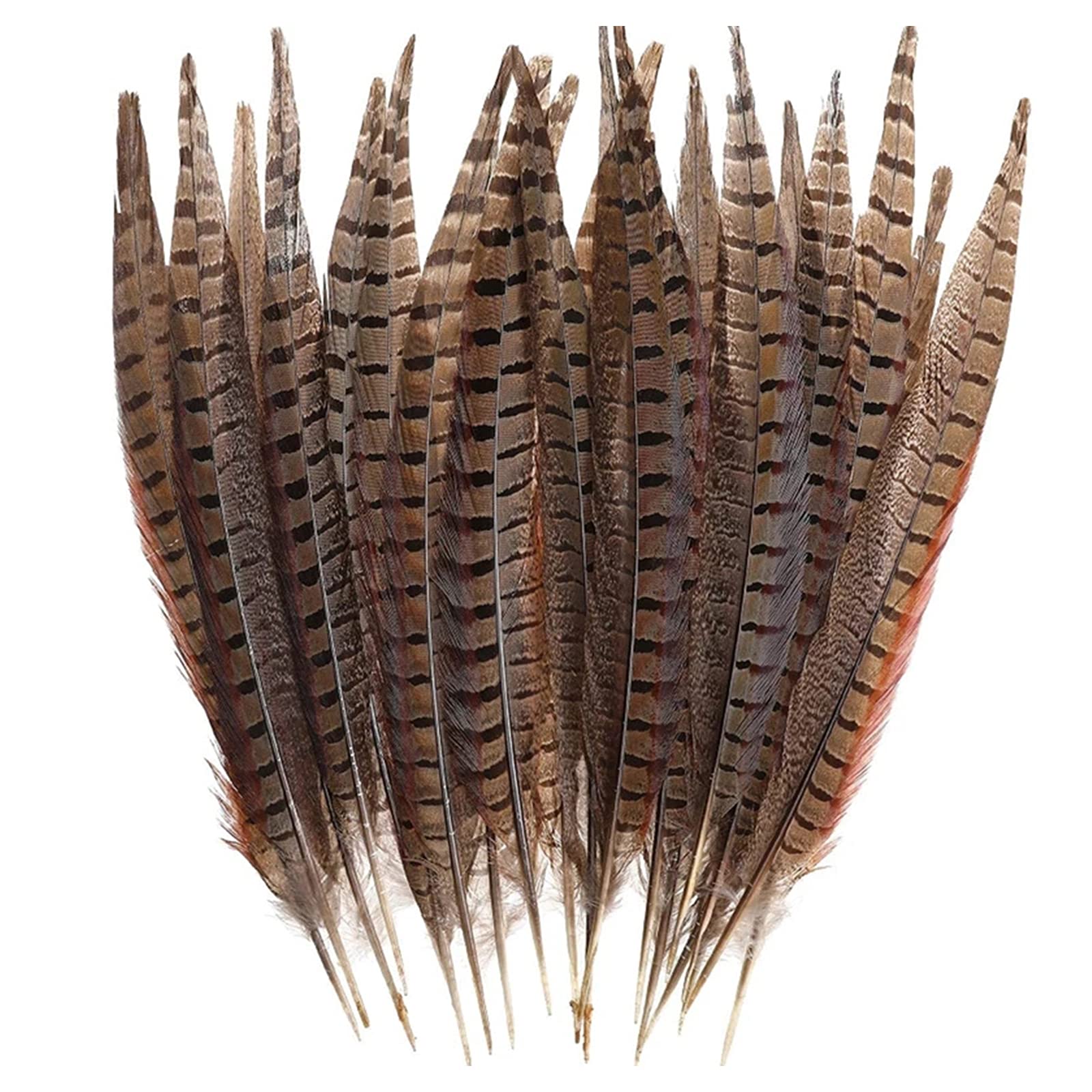 30 Pcs Natural Pheasant Feathers,DIY Pheasant Tails Feather,15-25 cm Soft Native Plume for Hair Hats Crafts Party Decoration Cosply Props,Natural Color