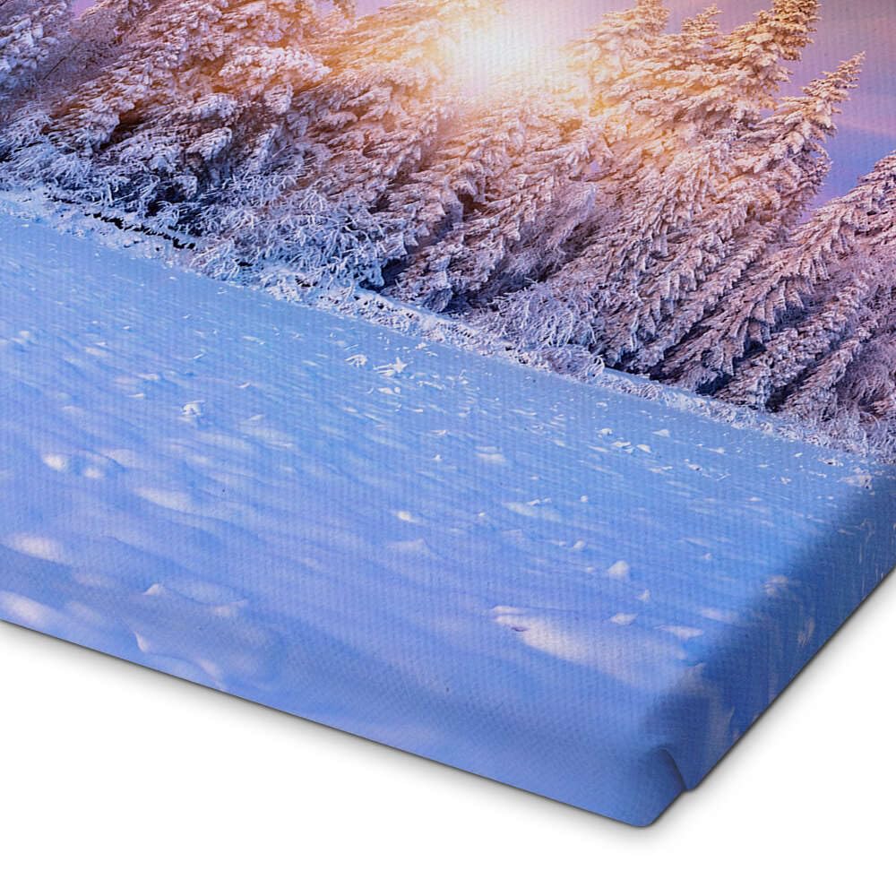 Paesaggio Variopinto All'alba Di Inverno Nella Foresta Della Montagna