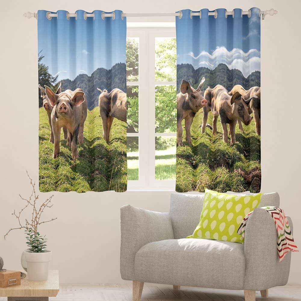 Świnia Zaciemniająca okna dreapes urocze 3D zwierzęta zasłona świnki kawaii zasłony zaciemniające (30%-50%) do sypialni zielona natura dekoracje okienne szer. 52 x dł. 90