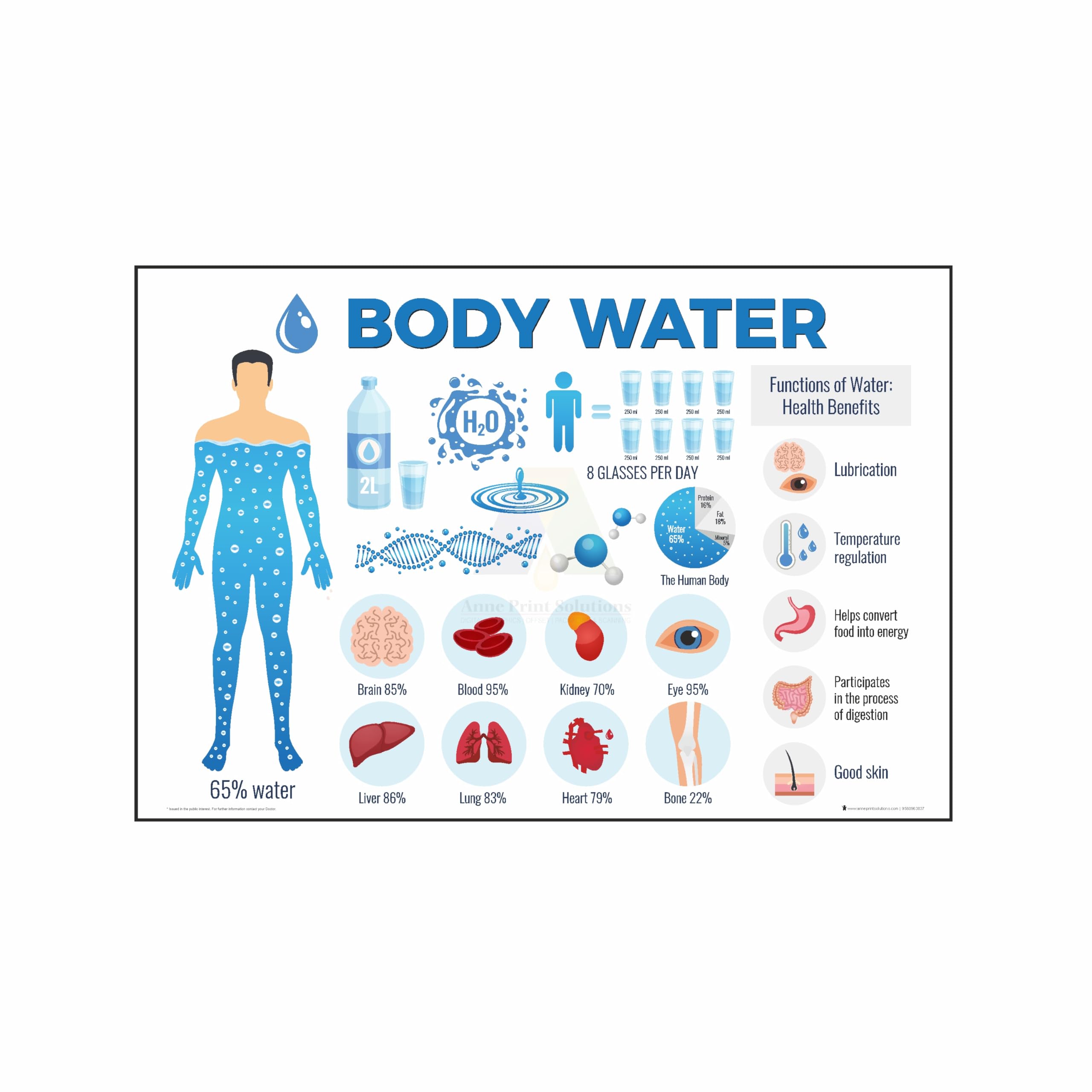 Water Health Benefits Poster - Promote Wellness -1 Water Health Benefits Poster - Promote Wellness -1