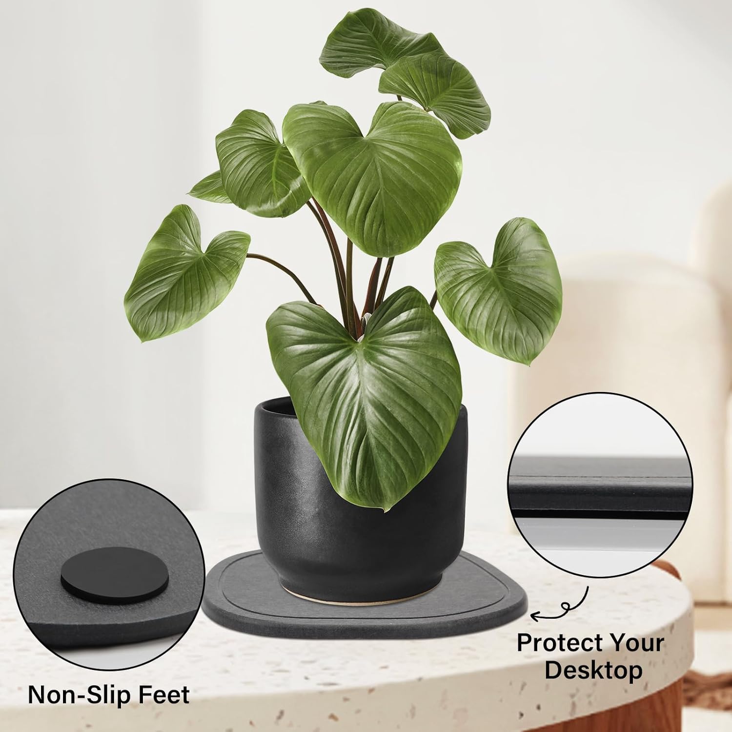Plant Saucers Instant Dry Diatomaceous Earth Stone Plant Trays Absorbent Durable Flower Pot Saucers for Indoor & Outdoor Use, Keep Floors and Counters Clean and Dry(Large & Small,Irregular) - Image 7
