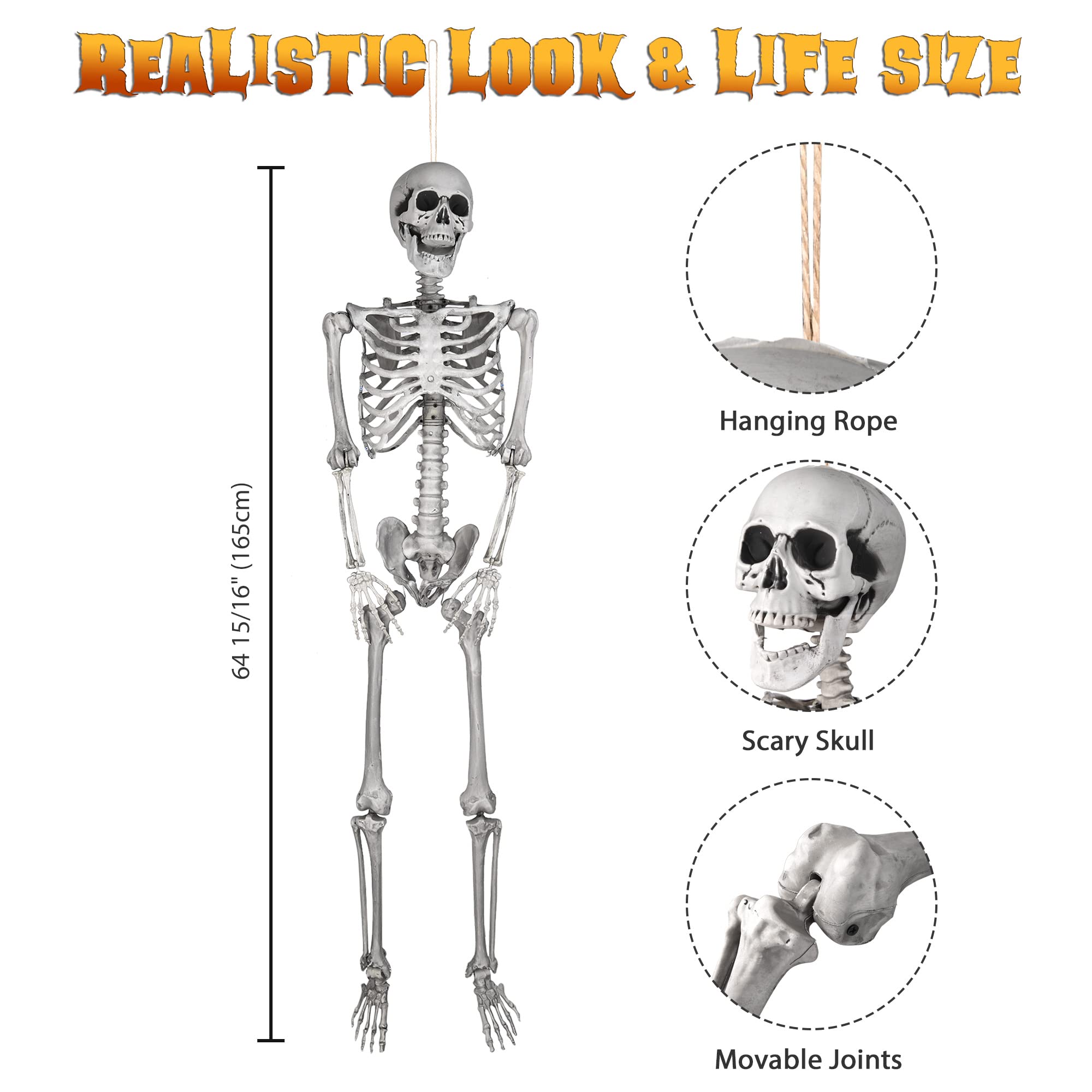 AW 5ft Full Body Skeleton Props with Movable Joints for Halloween Party  Decoration