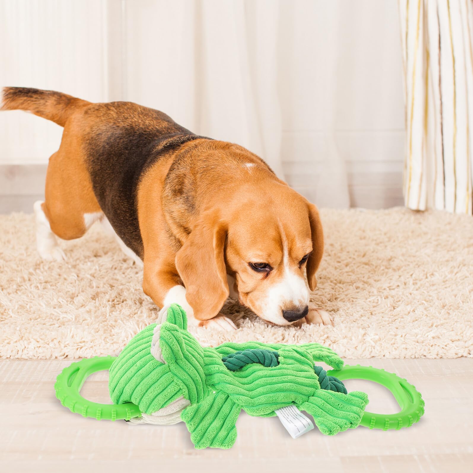 Juguete para Tirar para Perros Pequeños Forma de Rana, Cuerda Resistente para Masticar y Limpieza Dental, Juguete Interactivo Indestructible para Entrenamiento en Casa Aire Libre