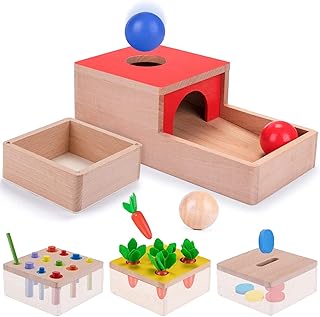 Jacootoys Wooden 4-in-1 Toy Box, Toddlers Montessori Shape Sorter Educational Carrot Harvest Game Sorting Puzzles Coin and Ball Color Drop Permanence Box For 2 3 4 5 Years Old Girls Boys