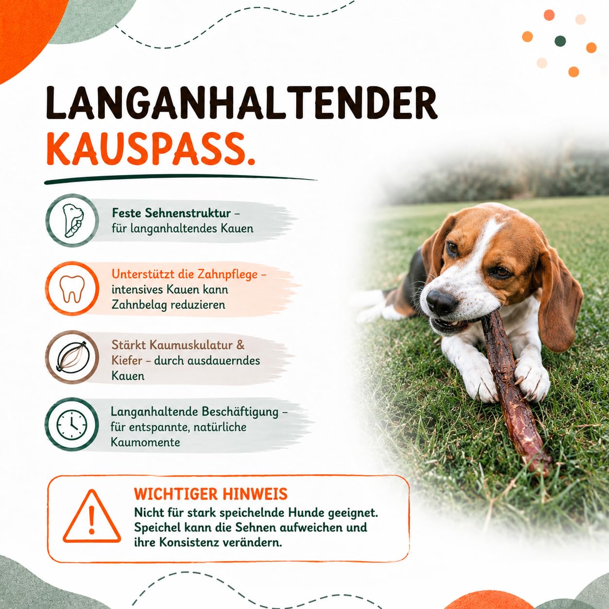 Pferdesehnen für Hunde getrocknet, Pferdeleckerli & Kausnack Pferd, 100% Pferd, Monoprotein, hypoallergen, luftgetrocknet, ohne Zusatzstoffe, getreidefrei, 1kg