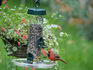Brome Seed Tray Compatible ONLY with Tube Solution 100, 150 & 200, Catches Spilled Seed, Reduces Waste, Extra Perching Space, Durable & Easy to Clean