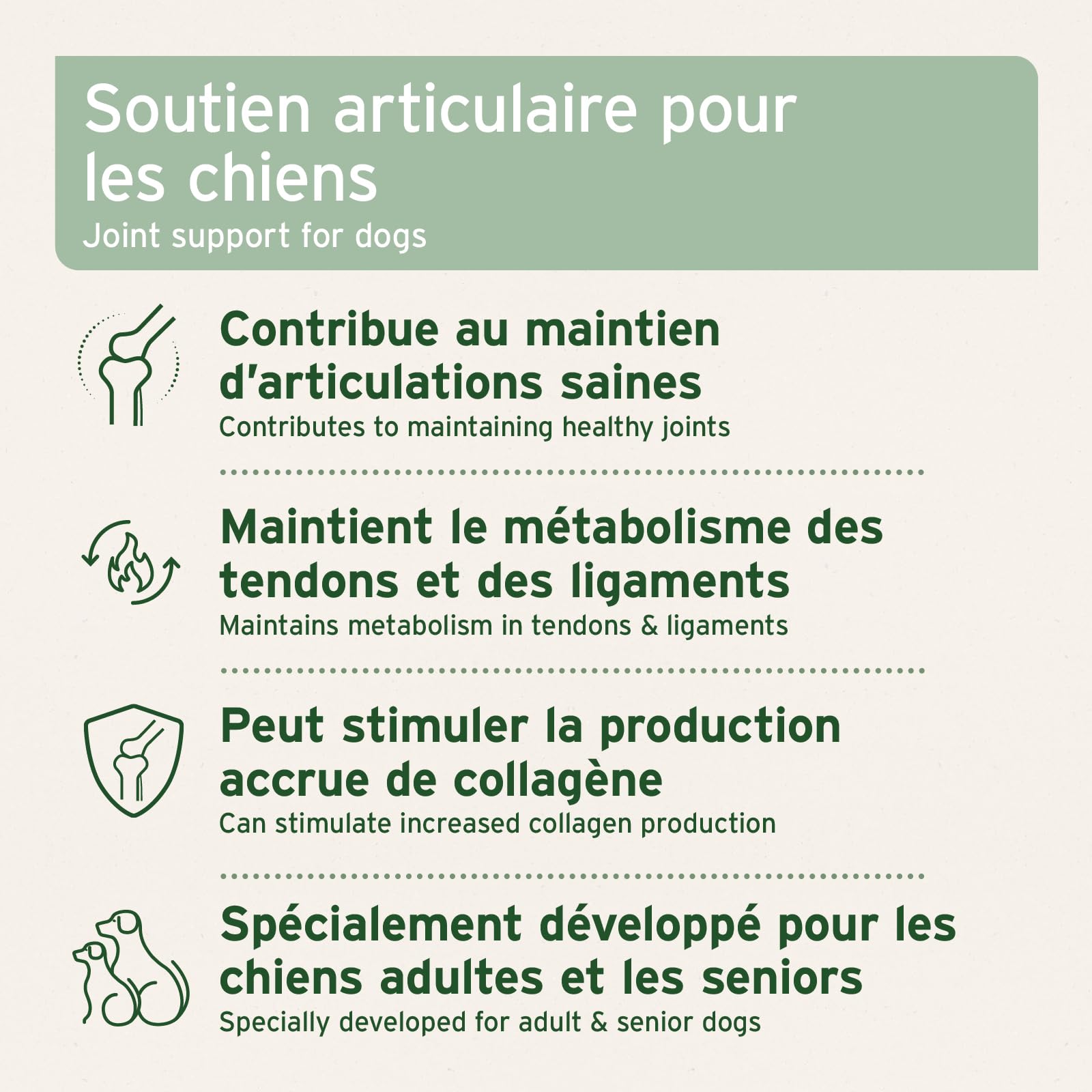 AniForte Comprimés Articulations 300 pcs pour Chiens – Moules aux Orles Verts, Oméga-3, Collagène et Griffe du Diable – Soutien Articulations & Tendons