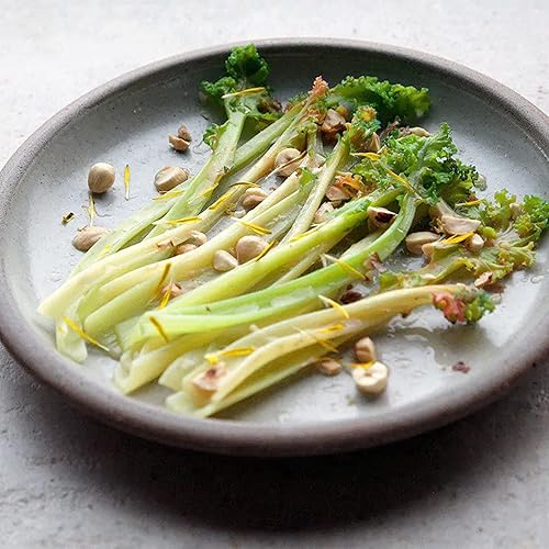 Miniatura 5 de QAUZUY GARDEN 50 semillas de col rizada marina (Crambe Maritima), tolerantes a la sal, comestibles, ornamentales, de rápido crecimiento, sin OMG