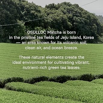 OSULLOC Volcanic Isle Ceremonial Grade Korean Matcha Powder, 40 g | Ceremonial Korean green tea powder from Jejus volcanic fields, with smooth umami taste for lattes, shots, and tea rituals