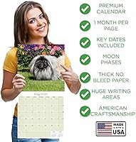 Vista 81 de Razas de Perros 2017