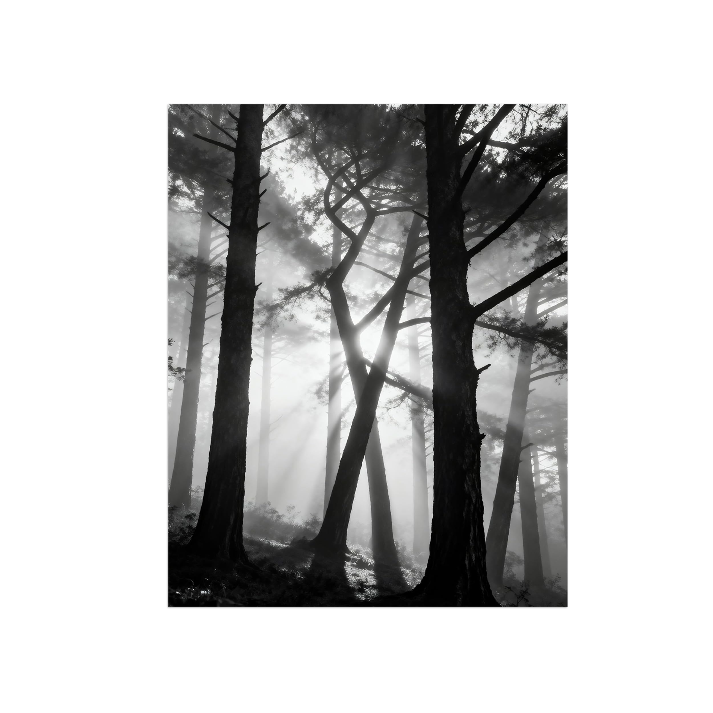OZPWBVY Black and White Landscape Print Painting-Tree Sunshine-Minimalist Canvas Wall Art Picture for Home Decor 24x31in 60x80cm Unframed