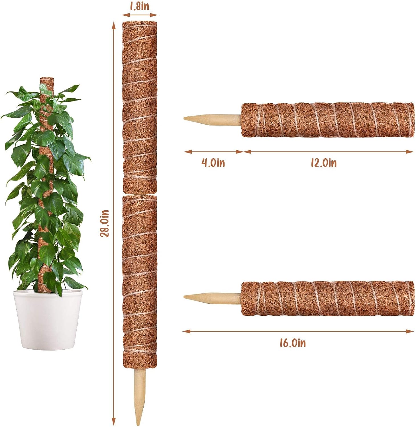 Moss Poles for Climbing Plants, 2 Pcs 32 Inches Sturdy Plant Support for Indoor Plants, Totem Coco Coir Pole Plant Sticks for Indoor Plants Climbing, Train Pothos Creeper Plants Grow